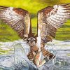 Osprey Bird Hunting diamond painting