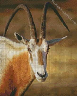 Saharian Oryx diamond painting