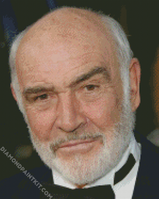 Scottish Actor Sean Connery diamond painting