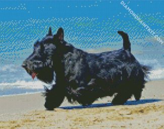 Scottish Terrier Dog diamond painting