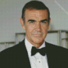 Sean Connery Actor diamond painting
