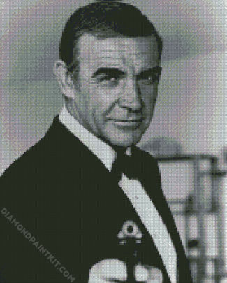 Sean Connery James Bond diamond painting