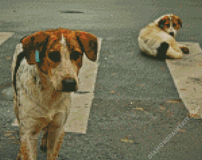 Street Dog diamond painting