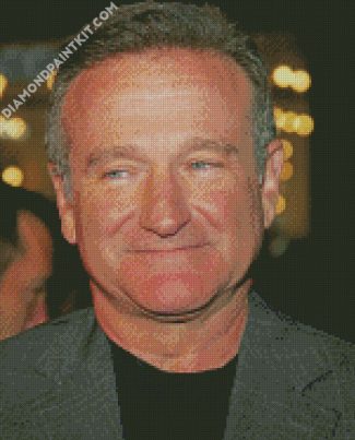The Actor Robin Williams diamond painting