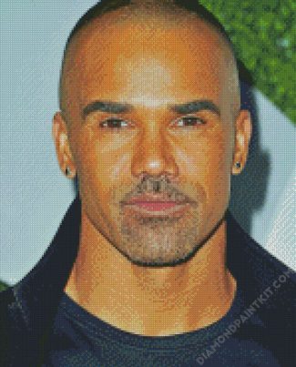 The American Actor Shemar Moore diamond painting