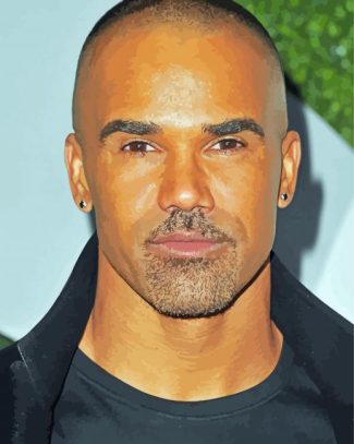 The American Actor Shemar Moore diamond painting
