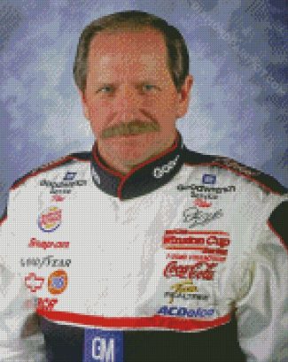 The American Race Driver Dale Earnhardt diamond painting