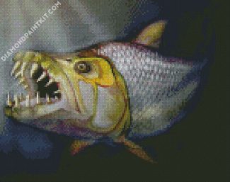 Tiger Fish Art diamond painting