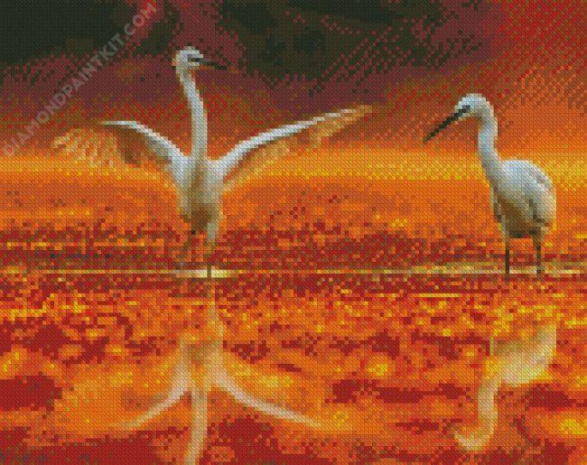 White Egrets diamond painting