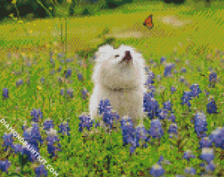 White Dog Watching Butterflly diamond painting