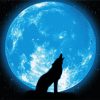 Wolf Howling diamond painting