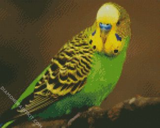 Yellow Head Parakeet Budgerigar diamond painting