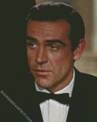 Young Sean Connery Actor diamond painting