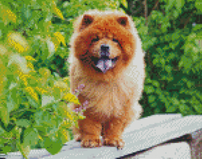 Chow Chow Puppy diamond painting