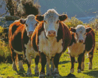 Aesthetic Hereford Cows diamond painting