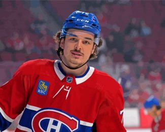 Montreal Canadiens Hockey Player diamond painting
