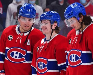 Aesthetic Montreal Canadiens Hockey diamond painting