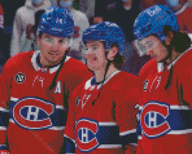 Aesthetic Montreal Canadiens Hockey diamond painting