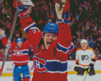 Cool Montreal Canadiens Hockey diamond painting