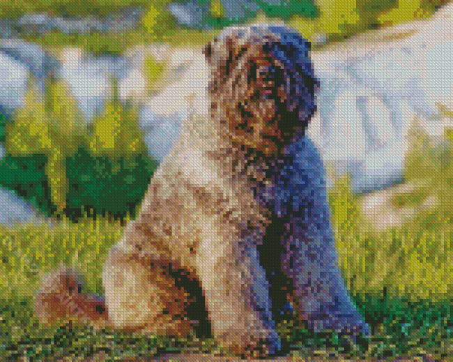 Cute Bouvier Dog diamond painting