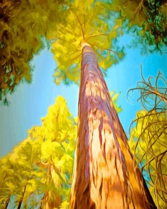 Giant Sequoi Trees diamond painting
