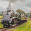 A4 Steam Locomotive Diamond Painting