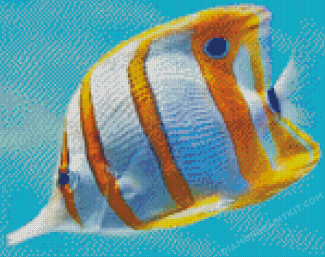 Copperband Butterflyfish Diamond Painting
