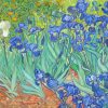 Iries Vincent Van Gogh Diamond Painting
