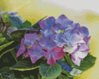 Purple Hortensia Diamond Painting