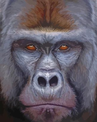 Silverback Gorilla Face Diamond Painting